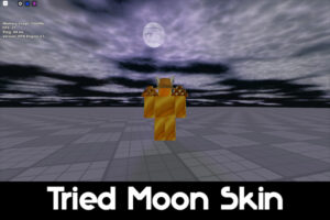 Tried Moon Skin for Roblox