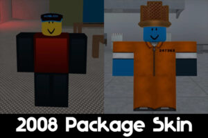 2008 Package Skin for Roblox